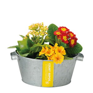 v^[ uL|bg  T[NM CG[ 3  񂹐A K[fjO Jt t[AWg Ԋ R|[g