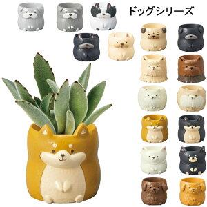 ~j~jW|bg  1 1|bg A vU[uht[ sNbV ӓ 킢 gCv[h ` Č t`uhbO |jA ~j`A_bN