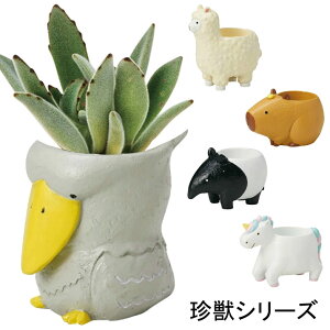 ~j~jW|bg b 1 1|bg A vU[uht[ sNbV ӓ 킢 nVrRE Jso }[oN ApJ jR[  ~j|bg t