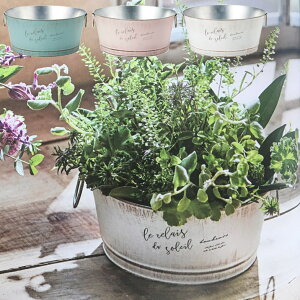 プランター ブリキ おしゃれ ポット シャビー ペールカラー 3号鉢 3.5号鉢 4号鉢×3 寄せ植え ホワイト ピンク グリーン ミント プランターカバー 鉢カバー かわいい ブリキ鉢 植木鉢 フラワー