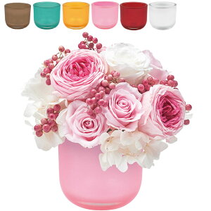 t[AWg Ԋ p[KX|bg R|[g 킢  2.5 uE O[ ~g IW sN bh zCg Vv v^[Jo[ Jo[ 