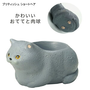 ~j~jW|bg L 1 1|bg A vU[uht[ AJV[gwA XReBbVz[h mEF[WtHXgLbg OєL }`J GL]