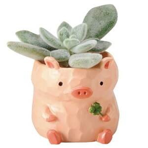 ~j~jW|bg Aj}  1 1|bg A vU[uht[ sNbV ӓ 킢 nX^[ N} lR ETM p_ JG u^ EV qcW ]E 