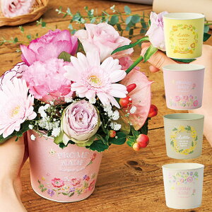 t[AWg |bg Ԋ hJuL R|[g v^[ uL 킢  3 4 5 AC{[ O[ sN CG[ v^[Jo[ Jo[ u