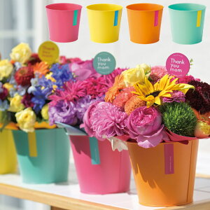 t[AWg |bg Ԋ rrbgJ[uL R|[g v^[ uL 킢  3 4 5 rrbgxuL CG[ IW sN O[ 