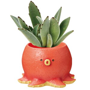 ~j~jW|bg C 1 1|bg A vU[uht[ sNbV ӓ 킢 ^R Ec{ AUV bR TJooXsX ~j|bg t[AW