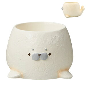 ~j~jW|bg C 1 1|bg A vU[uht[ sNbV ӓ 킢 ^R Ec{ AUV bR TJooXsX ~j|bg t[AW