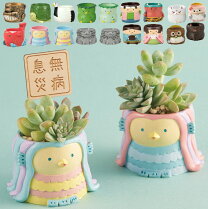 楽天市場】多肉植物 桃太郎の通販 