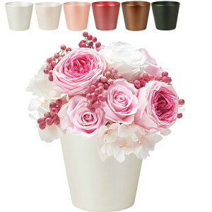 t[AWg Ԋ Vv R|[g  |bg 킢  2.5 3 zCg CgsN sN bh uE ubN v^[Jo[ Jo[ vU