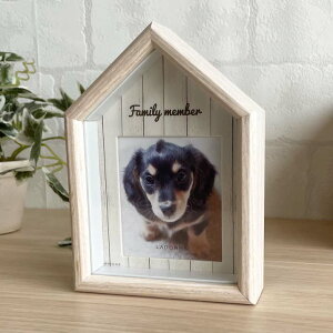 tHgt[ ؐ  (rO) ybg Ln[tTCY ~jTCY zCg nEX^ Vv 킢 ʐ^ 䎆t