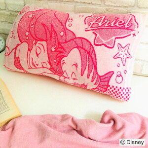 Jo[ RۖhL̂т̂іJo[ sJ`E h AG vcF ܂Jo[ s[P[X q WjA fBYj[ |P 킢 pCn ^In s