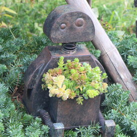 ガーデンオーナメント プランター ブリキ ロボット オブジェ 多肉植物 ガーデニング アンティーク レトロ 室内 錆 ポット ブリキ鉢