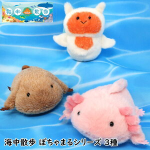 ۂ܂ ʂ S E[p[[p[ NIl TVEEI CU 킢