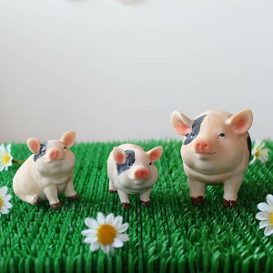 CeAIuWF Ԃt@~[ Ԃ G u 킢 q