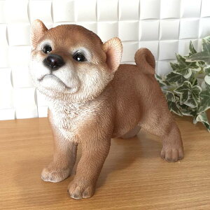 K[fI[ig Hc hbO CeAu 킢 IuWF K[fjOG