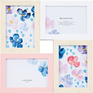 tHgt[  (AVANTI) pXeJ[ ؖڒ ʐ^ Vv  4 킢