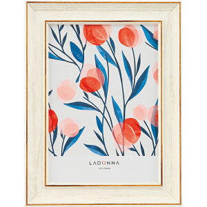 tHgt[  (AVANTI) 2L ؖڒ zCg  Vv ʐ^