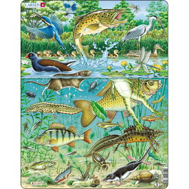 ラーセン ポンド ヨーロッパの水生池生態系 ジグソーパズル 50ピース LARSEN 魚 カワセミ 知育玩具