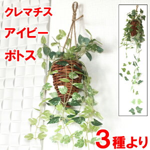 tFCNO[ nMO Ǌ| G} ݂艺 ACr[ |gX N}`X lHϗtA A 킢 