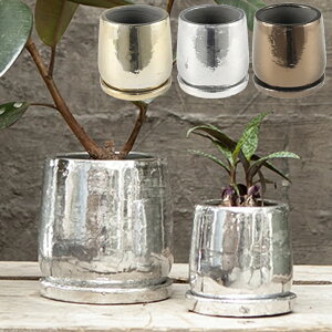 eRb^ Eh|bg S[h Vo[ uY VCj[ v^[ 2.5 4.5 ꌊ 󂯎Mt Aؔ _g DULTON  Vv  AJ K[f