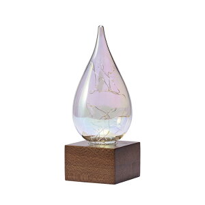  LEDCg uE Ɩ I[ CeACg  R[hX dr 