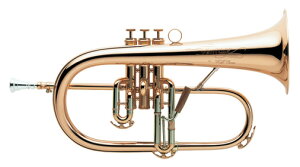C.G.CONN�i�R�[���j ���B���e�[�W�������f���E�t�����[�Q���z���� 1FG-SP �⃁�b�L