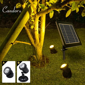 Candor(R) \[[Cg O h Ɩ 邢 u^ yIׂ^Cv/gF2z  K[fCg 3m Oz LED [d X|bg Cg dF C~l[V ZT