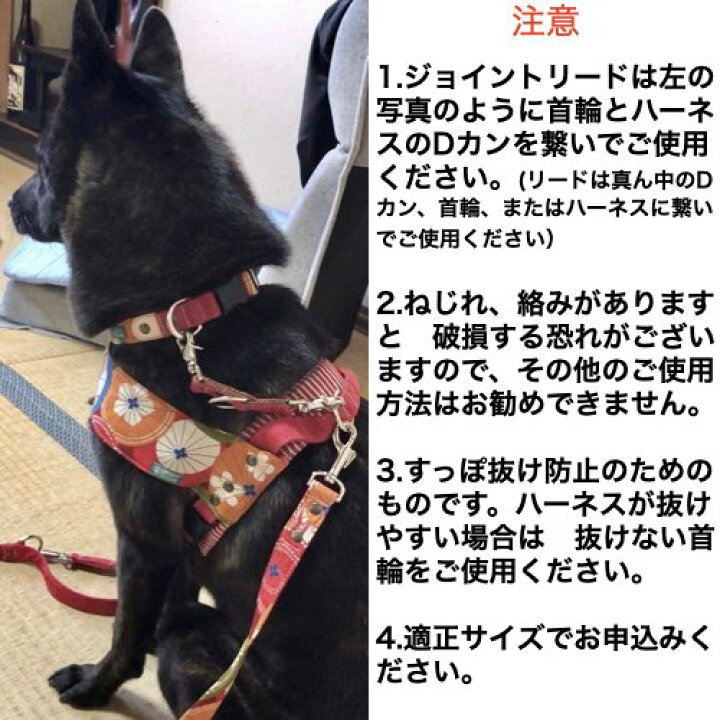 楽天市場 便利 首輪とハーネスとリードをまとめる ジョイントショートリード レバーナスカン使用 Ssサイズ超小型 Sサイズ小型犬用とmサイズ中型犬用 ポスト投函送料無料 Groovy Groupie With Dog