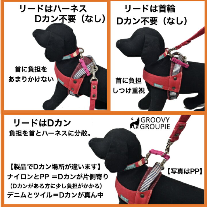 楽天市場】ジョイントリード 【 大型犬用 】 便利 首輪 ハーネス 
