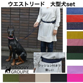 【大型犬用】ウエストベルトリード　ランニングリード一頭用セットクッション付き　デニム＆ツイル 送料無料【ダブルナスカンもオプションで追加可能】