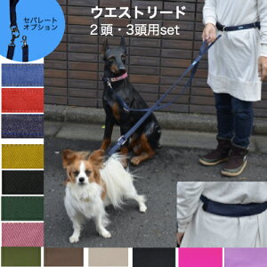 y  O p z  EGXgxg[h jO[h NbVt@fj  cC SCiXJ o[iXJ y ^ SS ^ S ^ M z y_u