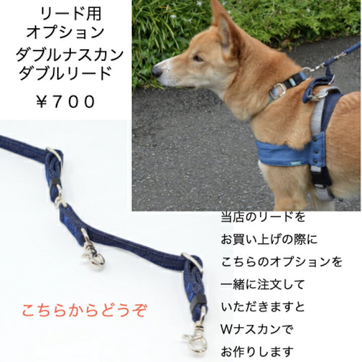 楽天市場 ダブルナスカンに変更オプション 回転カンあり リードをお買い上げと同時のみご注文できます 保護犬や首輪 ハーネス抜け名人犬さんに Groovy Groupie With Dog