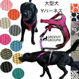 【 大型犬用 】大型犬 ハーネス 抜けにくい Y型ハーネス オーダーメイド カスタムカラー アウトドア 脇擦れ防止 二重クッション PPテープ二重仕様