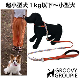 ハーフチョーク と リードのセット 超小型犬 小型犬【SS XS XXS 】ネオプレン クッション 優しい　ナイロン＆パラコート　送料無料 セミオーダー で ぴったりサイズ
