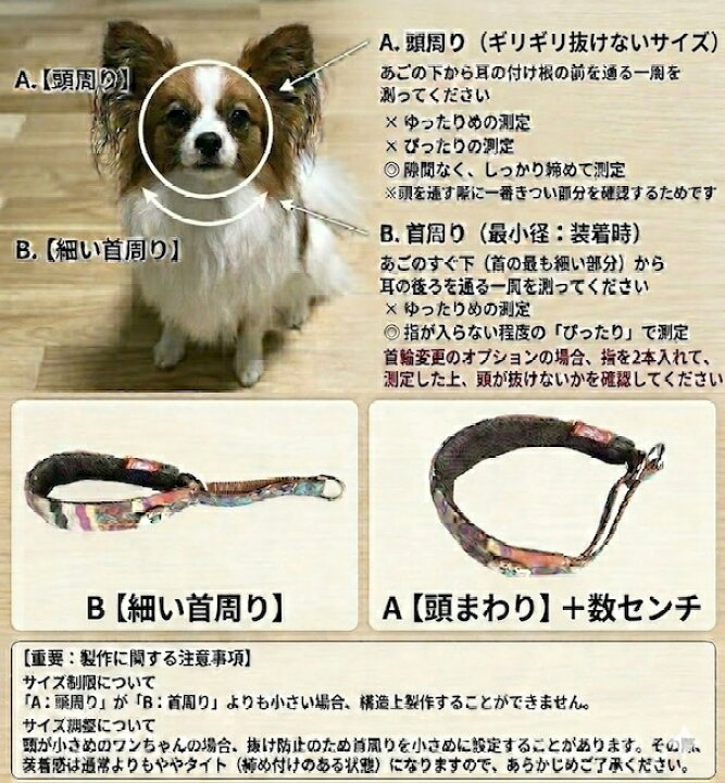 楽天市場 お花プリント ゴールデンレトリバー ラブラドールなど大型犬ソフトクッション付きで優しい ハーフチョークポスト投函選択で送料無料 Groovy Groupie With Dog