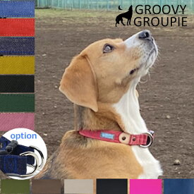 首輪 犬 中型犬用 Mサイズ 【 デニム or ツイル 一色 】 オーダーメイド オプション【 オプション で ダブルDカン ダブルリング リード セット ダブルリード ダブルナスカン ダブルグリップ に変更 】 デニム レザー 【 送料無料 】 本物にこだわり 岡山デニム 使用
