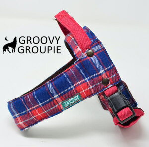 `FbNfj(red&blue)y^pz\tgNCbNn[lX@yzZ~I[_[Ńsb^TCY