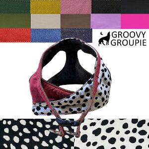 _VA   fj cCy ^p LTCYz \tgxXg^ {fBn[lX  y Z~I[_[ sb^TCY z