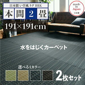 iy2ZbgzO BRK O  O 􂦂 J[ybgTCY {2 191 s191 cmO[ x[W uE lCr[ C O}bg{ Y y h~