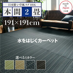 y ݌ɂ킸 z􂦂ybgΉO 191 s191 cmO BRK O  O 􂦂 J[ybgTCY {2 191 s191 cm􂦂ybgΉO ybgO O ybg