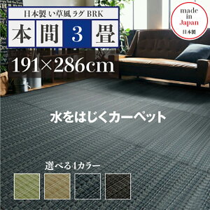 y ݌ɂ킸 z􂦂ybgΉO 191 s286cmO BRK O  O 􂦂 J[ybgTCY {3 191 s286cm􂦂ybgΉO ybgO O ybgp 