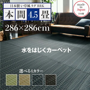 y ݌ɂ킸 z286 s286cmO BRK O  O 􂦂 J[ybgTCY {4.5 286 s286cmO[ x[W uE lCr[ C O}bg{ Y 