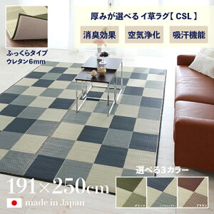 ���i�� ���{�� �������O CSL �􃉃O �ă��O �����J�[�y�b�g�ӂ�����^�C�v ���n �E���^�� 6mm ��191 ���s250cm���Y �C�� TATAMI �^�^�~ ������ ���O�}�b�g���h�~ �h�L �a���_�� ������� �O�~�a�� 