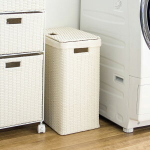 y1Pizy38cmzDA-RB STCY h[oXPbg󂩂J[| AC{[iu[jTCY| 38 s24 50cmh[[ 󕨎[ h[{bNXF F 