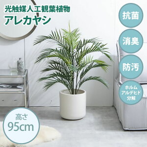 EN[|ՂJÒIG}lHϗtA fake green AJV80cm×s80cm×95cmƖ邱ƂŏLERہEhEzAfqȟʂ𔭊tFCNO[  