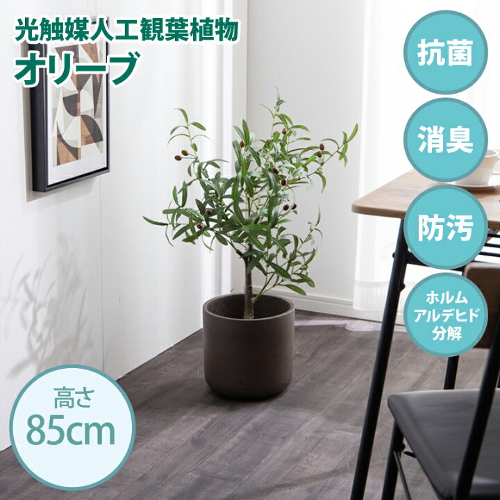 楽天市場】・クーポン祭り開催中！光触媒人工観葉植物 fake green 