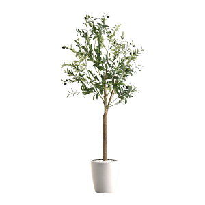 N[|zzItFCNO[ fake green I[uLTCY(180cm) lHϗtAȒP sv  C~e[VO[ CeAvc CeAO[  I