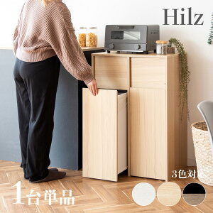 Hilz-DBy1PizS~ _Xg{bNX ݔJ[FzCg/uE/i`TCYF60.5×s43×90cmfށFϑ@۔S~oR ݂΂ X Xܗp_XgBO