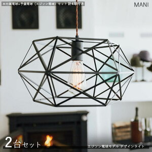 MANI}j fUCy_gCgy{2+d4z^CvTCYF40×s35×20cm/R[h̒1mfށFX`[/̓hGW\^CvƖ Xܗp ƒp@fUCC