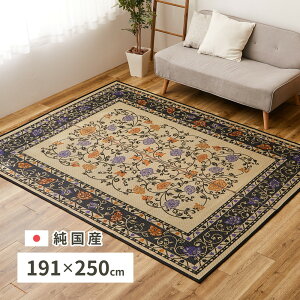 N[|ՂJÒIYO(\薳)@IDA@191×250cm@MRFN